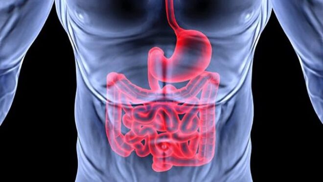 Enfermidades do tracto gastrointestinal