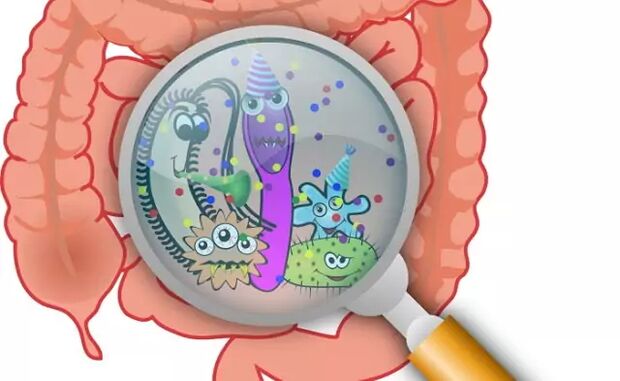 Parásitos nos intestinos