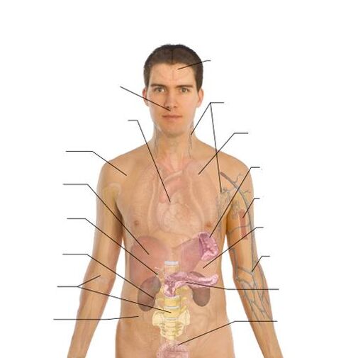 signos da presenza de parasitos en varios órganos